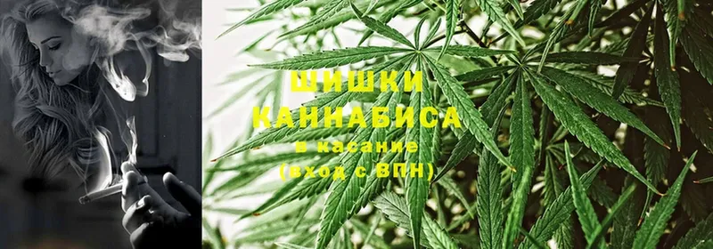 MEGA tor  Болохово  Бошки марихуана SATIVA & INDICA 